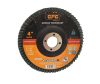Flap Disc